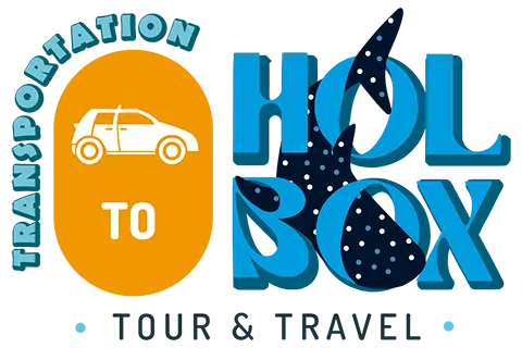 Transportation to Holbox Company logo