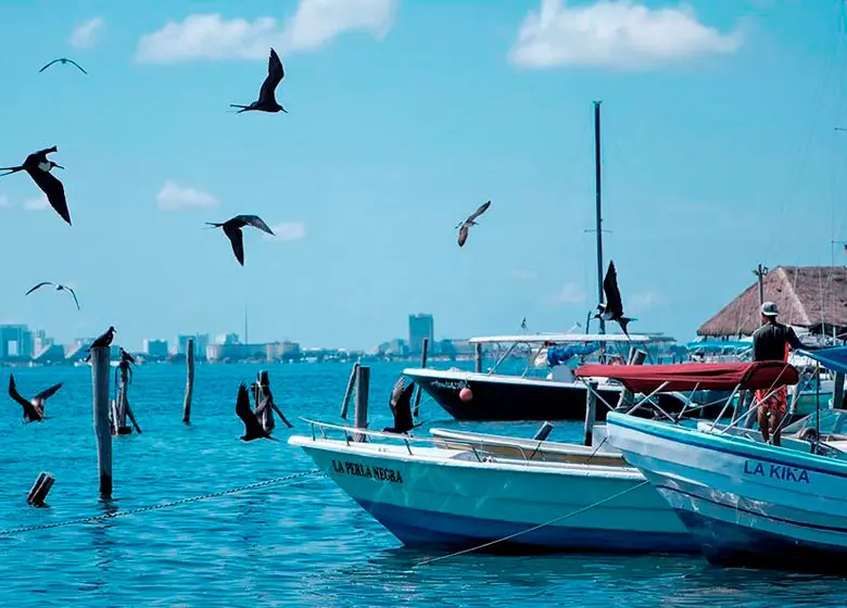 Boats in puerto juarez dock